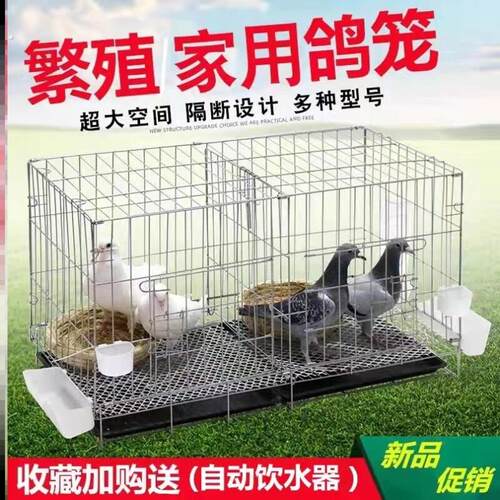 鸽子笼家用养殖笼鸽子配对笼大号鸽子笼家用带隔断繁殖养殖鸽笼清