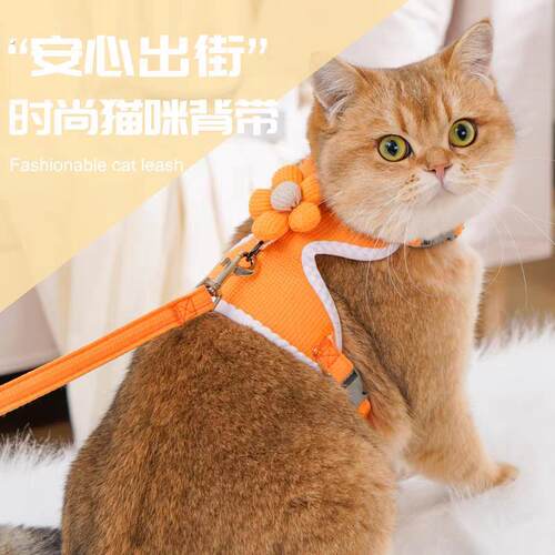 猫咪牵引绳防挣脱不勒脖遛小猫专用胸背带背心式溜幼猫绳子可调节