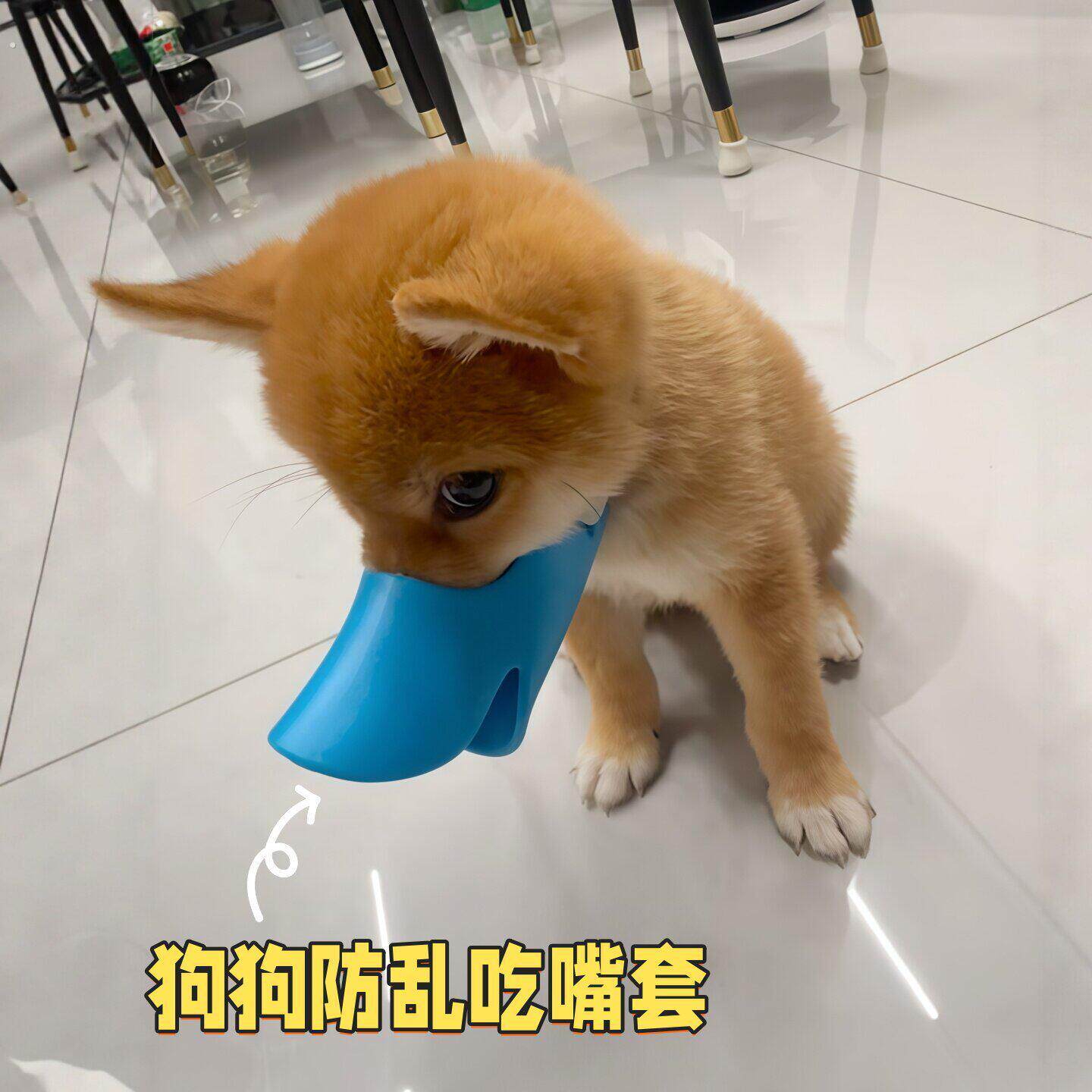 狗狗鸭嘴套防咬人防乱吃宠物防狗叫扒不掉止吠器小型犬防扰民口罩