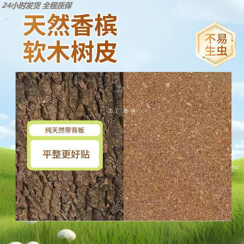 带背板真树皮天然软木树皮香槟树皮爬宠缸造景真绿植墙面造景装饰