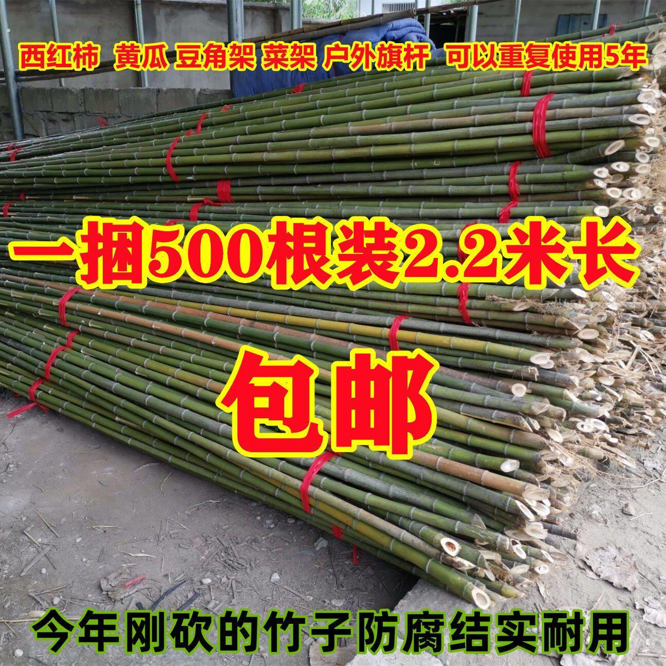 竹杆子菜园搭架竹子篱笆围栏黄瓜豆角爬藤菜架竹竿架种菜支架