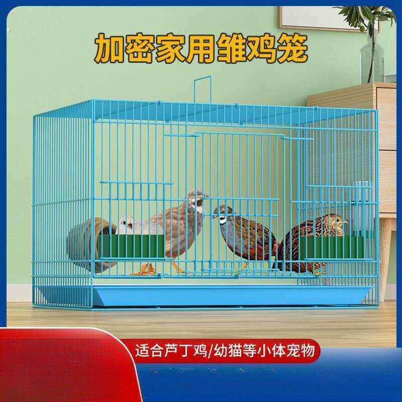 芦丁鸡专用养殖笼子家用加密大号芦丁鸡铁丝笼小鸡小鸭子鹌鹑鸟笼