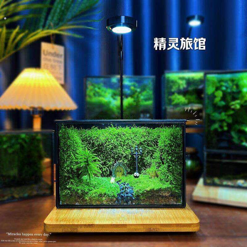 创意微景观雨林生态缸闷养瓶闷养懒人一整套