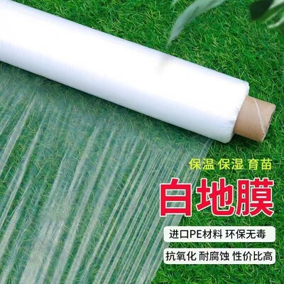 白色地膜保温保湿膜吹塑膜白地膜塑料膜专业育苗蔬菜大棚薄膜农用