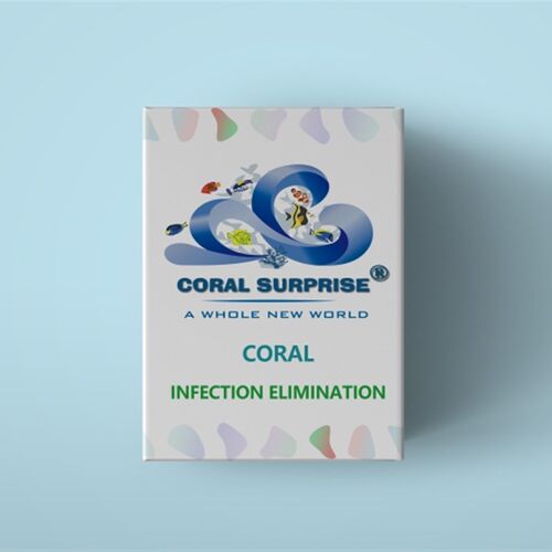 CS小白瓶 珊瑚感染  STN/RTN 布朗冻 真叶硬骨检疫