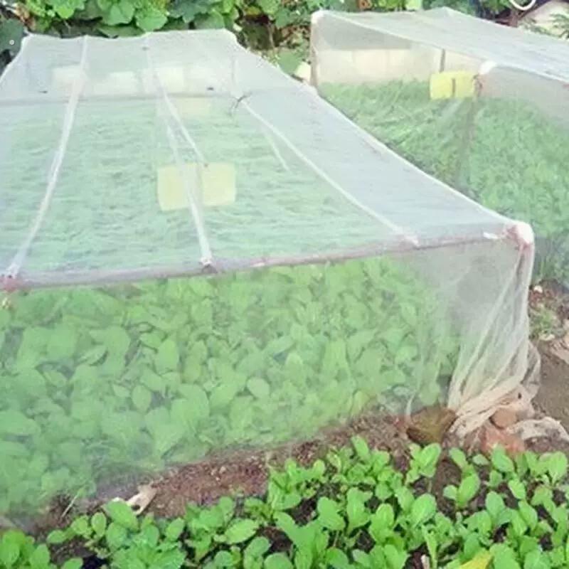 防虫网种菜专用网蔬菜农用防虫网果树防鸟罩菜园菜地抗老化透明
