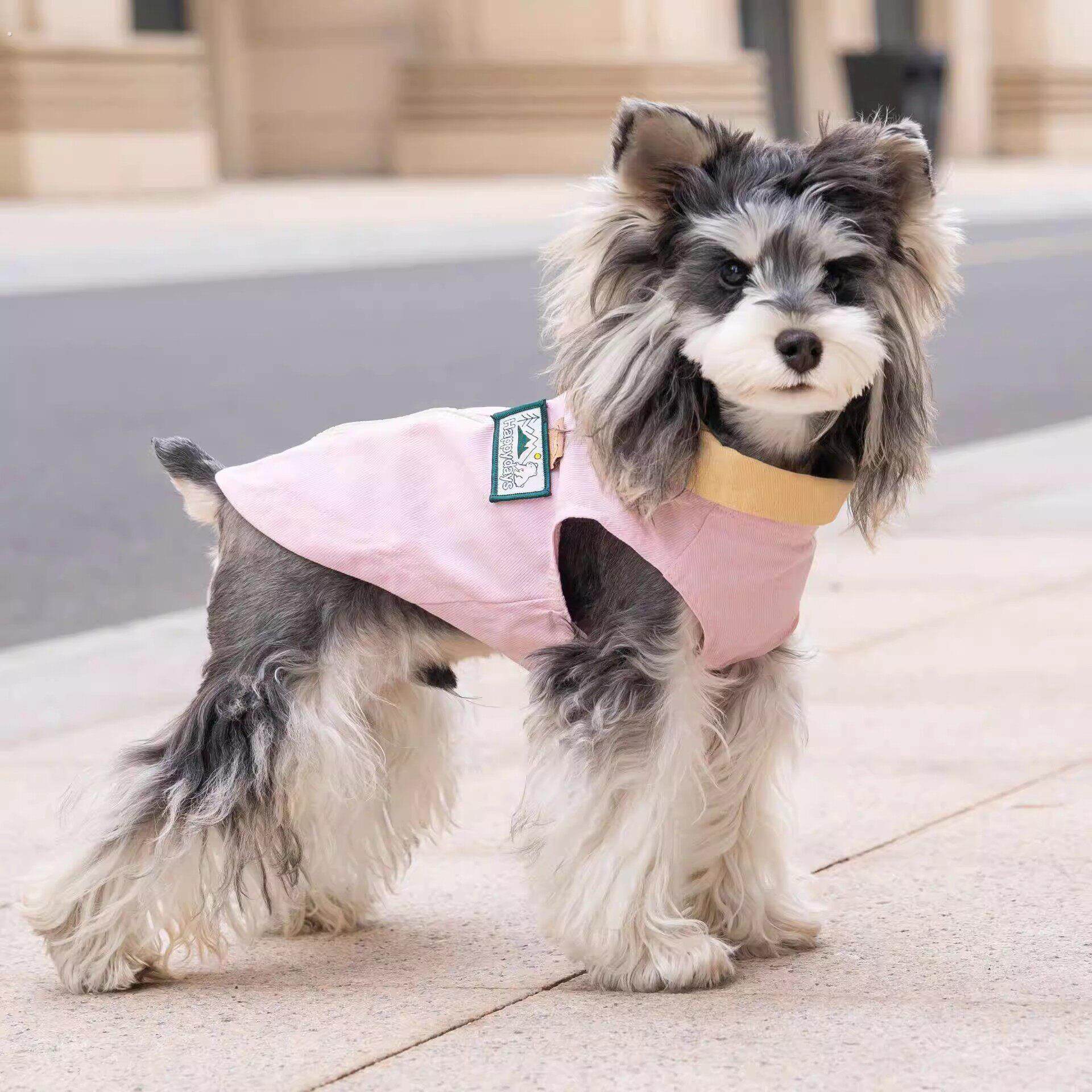 狗狗衣服2026新款春装小型犬春天外出遛狗可牵引博美约克夏两脚衣