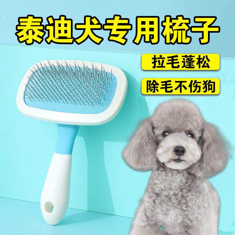 泰迪梳毛专用梳子狗狗针梳小体小型幼犬嘴毛面梳拉毛开结蓬松神器