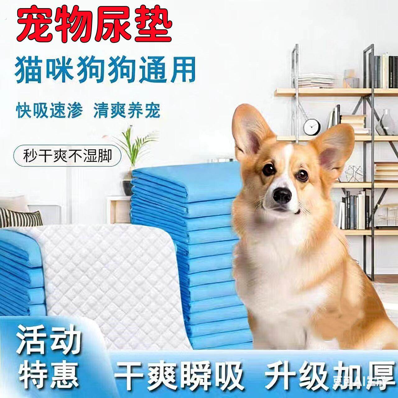 宠物尿垫加大加厚除臭猫狗通用尿垫宠物尿片一次性吸水凉垫尿不湿