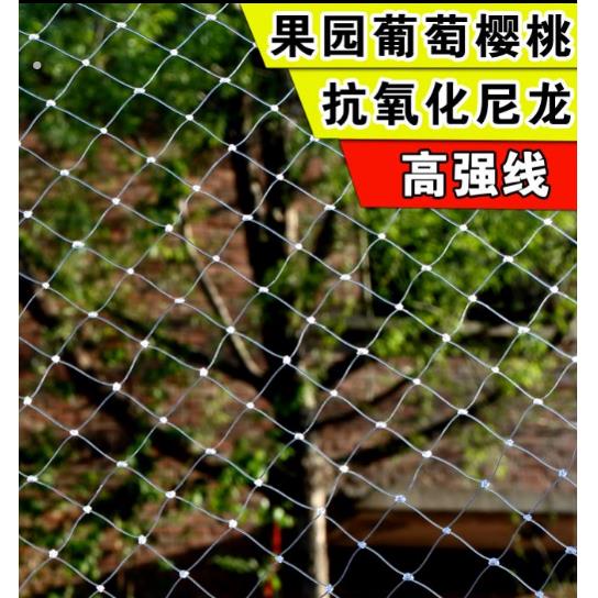 樱桃树保护网防鸟防乌网果园防鸟户外果树葡萄树纱网防鸟吃网家用