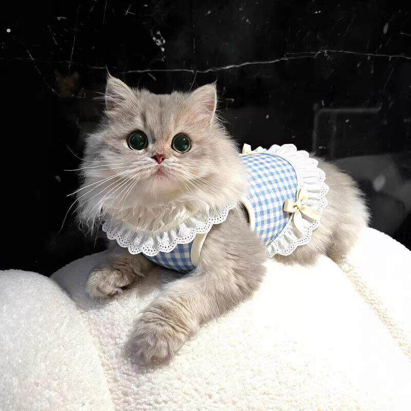 宠物猫咪衣服薄款夏天春装公主风防掉毛狗狗衣服小型犬2026新款