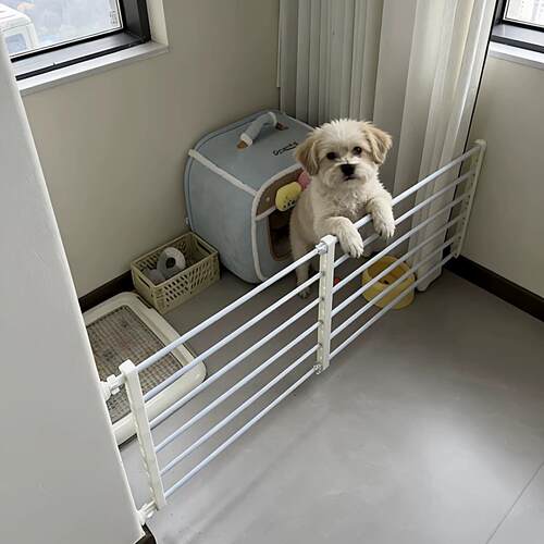 可伸缩狗狗栅栏宠物栅栏室内家用隔离门挡中小型犬狗笼安全防护栏