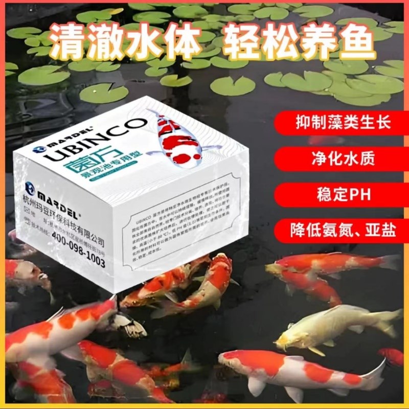 玛豆菌方锦鲤硝化菌优选高浓度PH值鱼池分解氨氮亚盐鱼缸快速净水