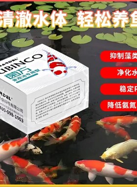 玛豆菌方锦鲤硝化菌优选高浓度PH值鱼池分解氨氮亚盐鱼缸快速净水