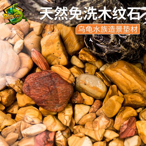 乌龟木纹石饲养缸造景装饰石头龟缸垫材水族箱免洗底砂龟沙铺底