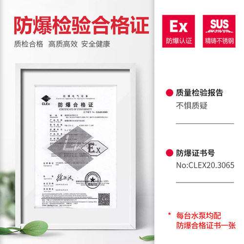 BQW防爆污水泵380V三相矿用304不锈钢耐腐蚀316L防爆潜水泵排污泵
