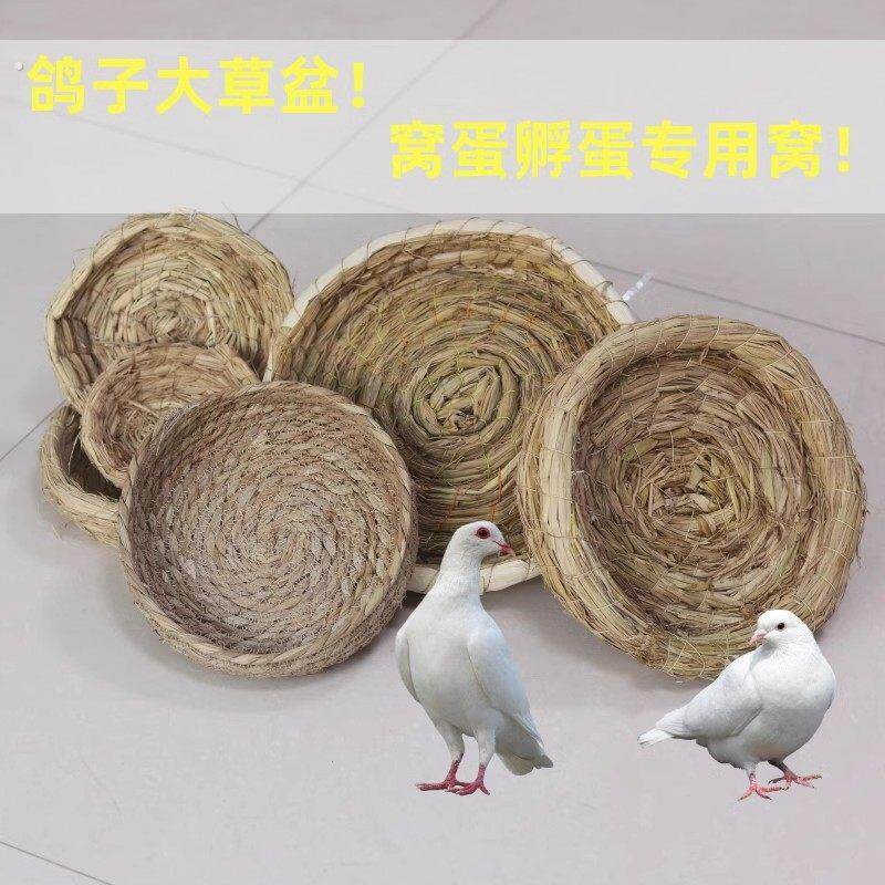 鸽子巢窝鸽子窝鸽巢草窝草编鸡窝下蛋窝孵蛋专用家用信鸽用品用具