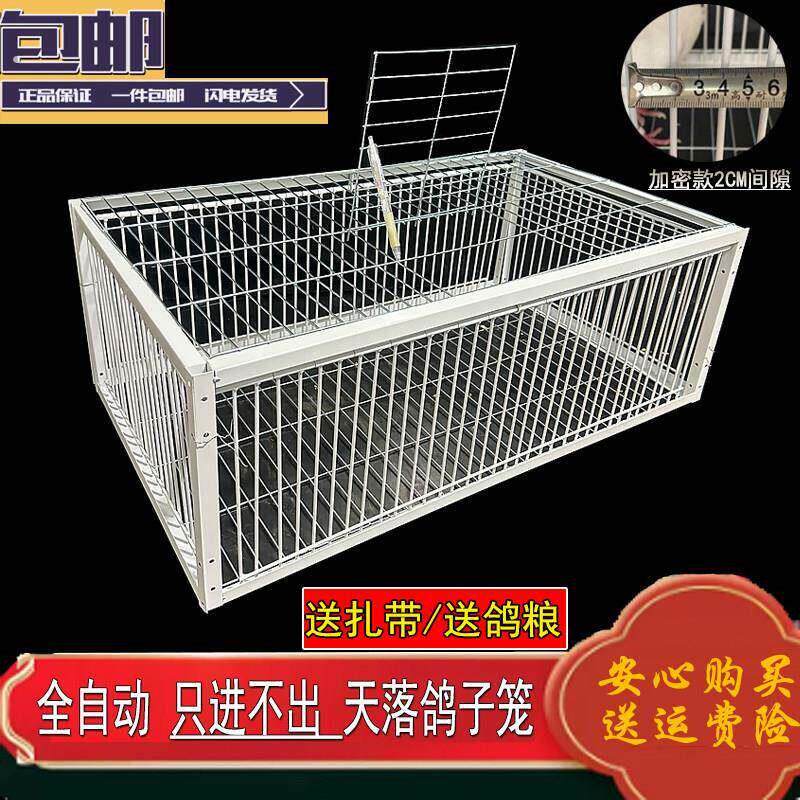 新款加密天落笼只进不出鸽子笼活络门鸽笼自动门撞门户外鸽子笼子