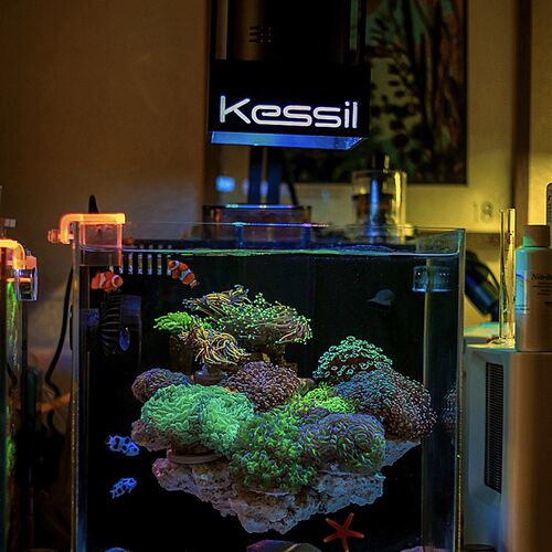 DIY蚂蚁海水缸30CM背滤亚克力微缸海水珊瑚缸可淡水水族鱼缸
