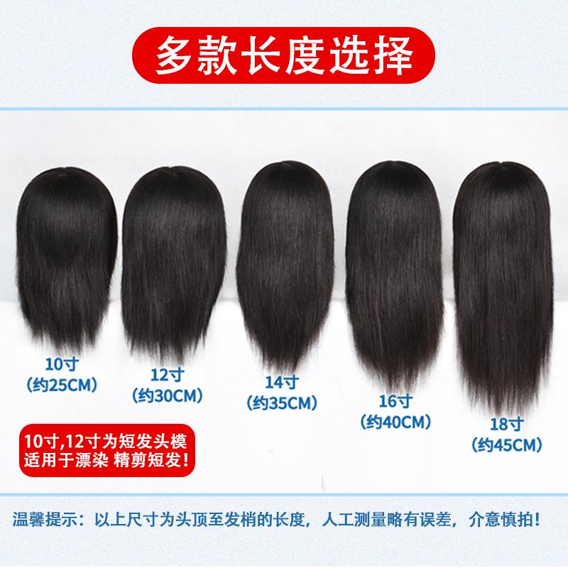 美发头模全真发理发专用公仔模特头剪发练习假人头模型烫染吹模具