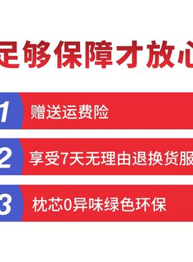 决明子护颈枕枕芯不塌荞麦枕头夏天加厚加高单人一对家用男高枕硬