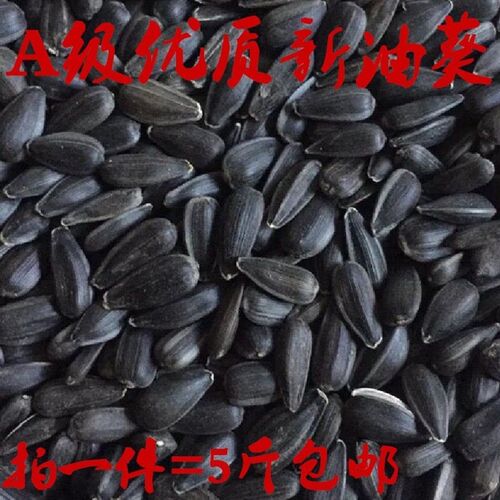 花花新品黑珍珠小瓜子/葵花子/油葵籽 仓鼠鸟食零食优质鸟粮5斤装