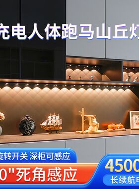 充电人体感应灯带免插电酒柜免接线玄关鞋柜进门柜子磁吸无线灯条