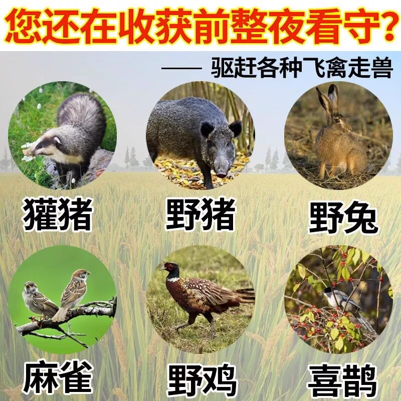 驱獾子神器玉米地果园驱獾香精包驱狗獾猪獾气味驱野兽獾子驱赶器