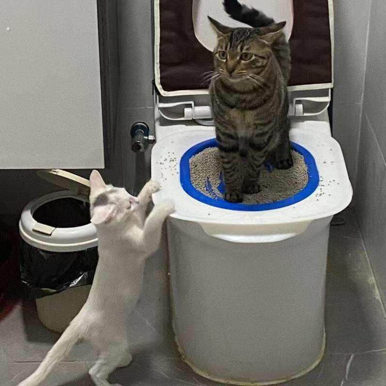 新款猫厕所训练器猫厕蹲坑训练器可拆卸循环使用智能马桶节省猫砂