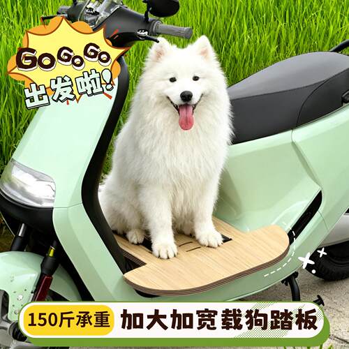 电动车带狗狗神器大狗坐电动车加宽踏板延长板带宠物外出坐板可携