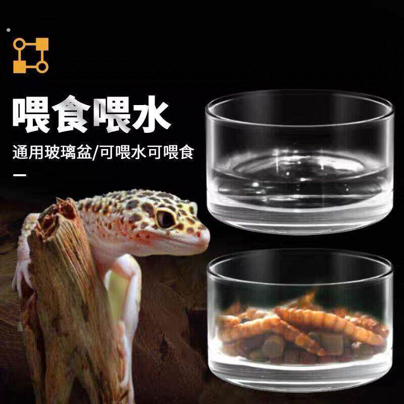 爬宠守宫蜥蜴玻璃水盆食盆喝水吃饭碗大号小号豹纹食盆乌龟水碗盆