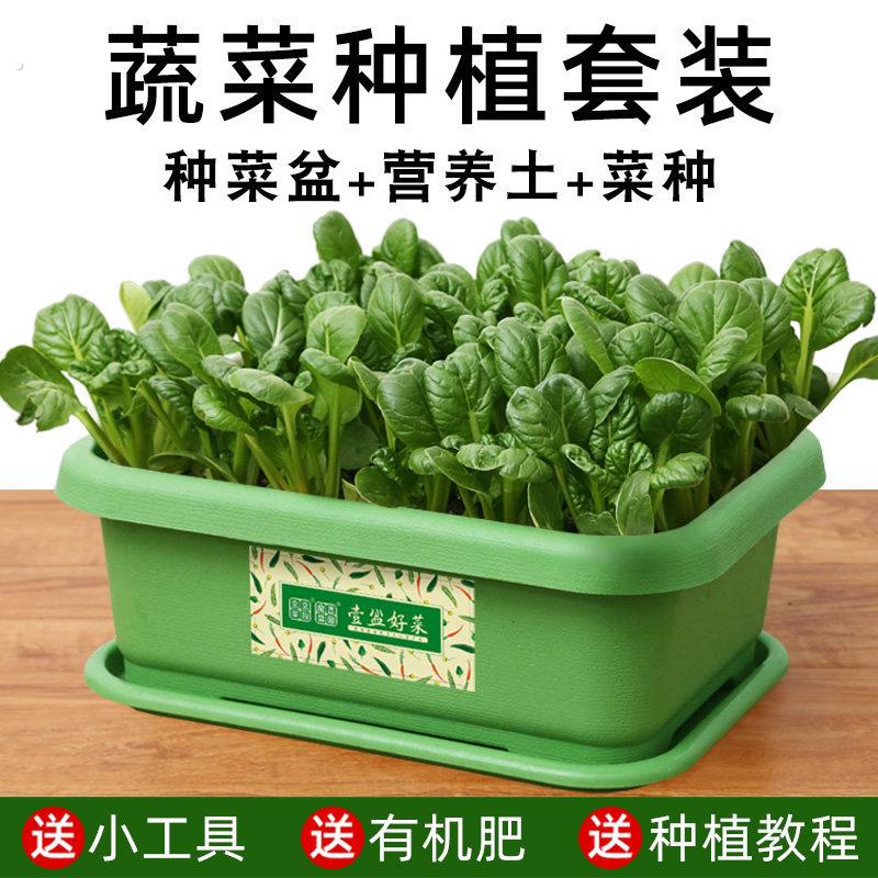 家庭蔬菜种菜盆长条槽室内阳台种植神器长方形特大号塑料托盘萝卜