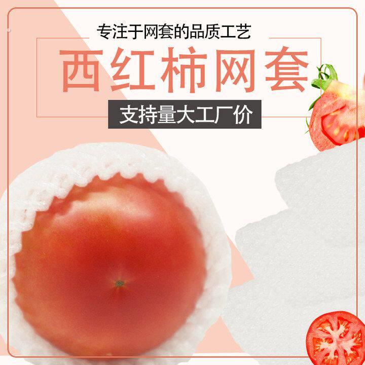 番茄网套泡沫防撞加厚甜瓜枇杷番茄红薯网套蔬菜网兜专用