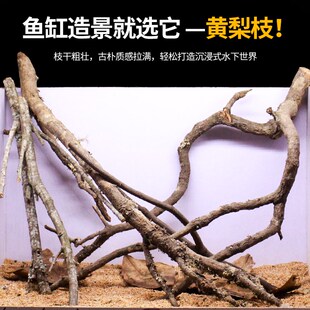 黄梨枝造景天然南美缸爬宠缸枯木素材一物一拍倒挂树枝沉木装饰枝