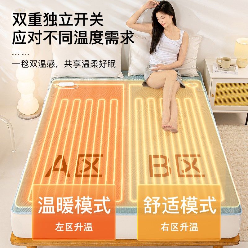 琴岛电热毯新品家用床笠款电褥子双人双控加大除螨安全定时可水洗