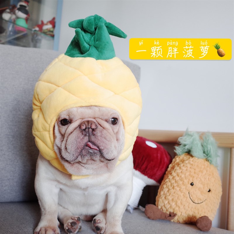 宠物帽子 狗狗恶搞头套 菠萝帽子 狗狗帽子 法斗帽子  柯基 拍照图片
