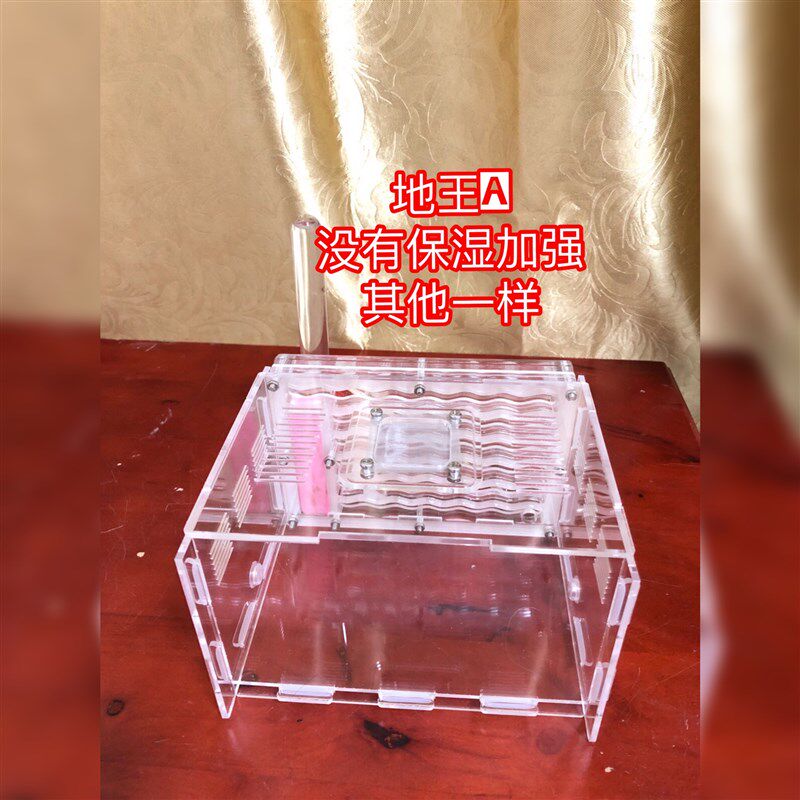 蚂蚁城堡 蚂蚁工坊亚克力蚁巢  地王蚁巢 地王3代 全异巨首蚁蚁巢