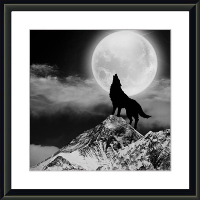 唯美为家有框画办公室挂画狼图片个性家居装饰画企业狼性团队文化