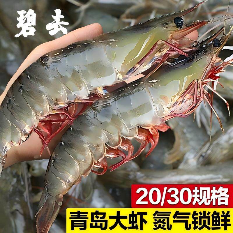 气冻虾青岛大虾新鲜特大液氮青虾氮气海虾青虾一箱白虾批发