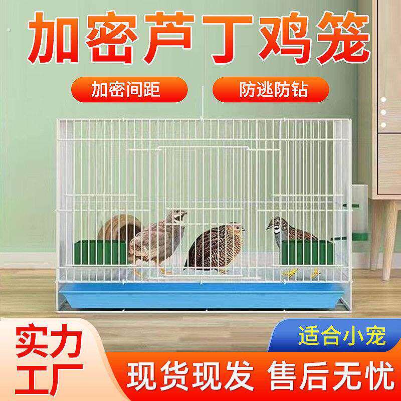 鸟笼子家用小型芦丁鸡养殖笼鸟笼家用小号手提运输宠物兔笼折叠