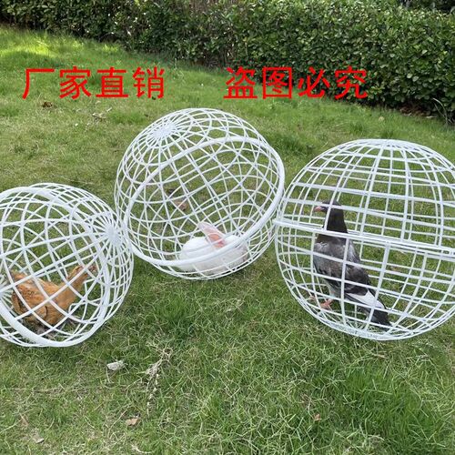 农家乐吸引游客可滚动圆形鸡笼球形兔笼塑料儿童养小动物创意鸡笼
