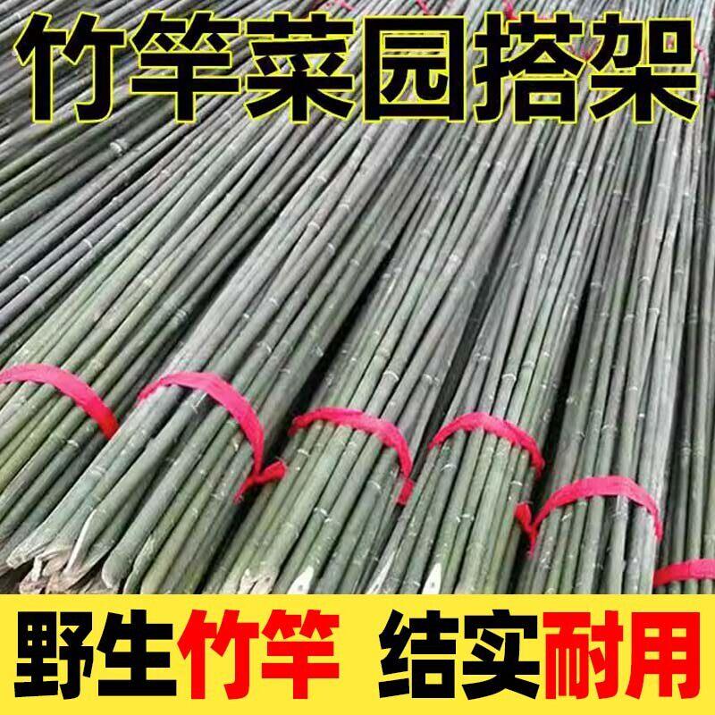 竹材细竹竿2米长 蔬菜爬藤竹架杆 竹篱笆庭院用菜园搭架