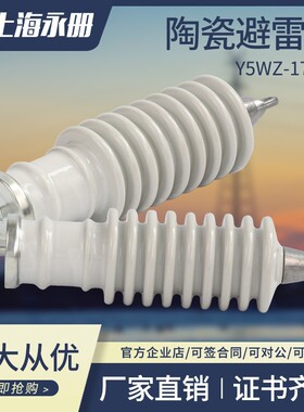 陶瓷避雷器Y5WS-17/50FT广式蓝色陶瓷10kv12kv白色高压阀式避雷器