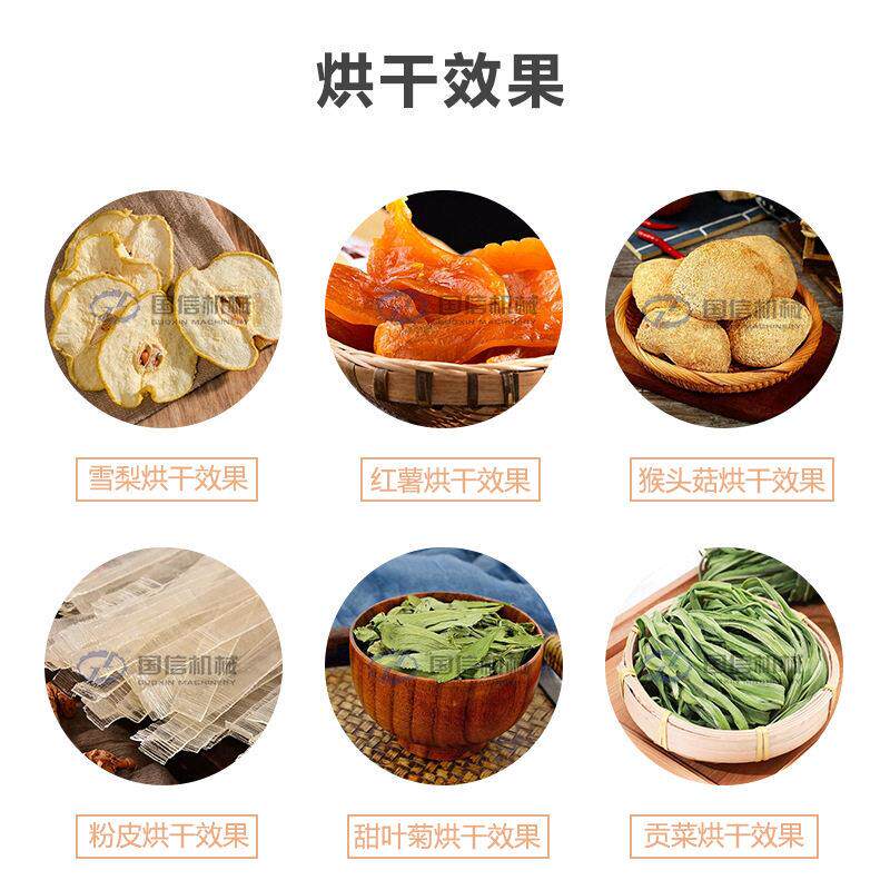 菇平菇蘑菇野菌烘干生机20260421香新国信机械菌烘干菇设备食用菌
