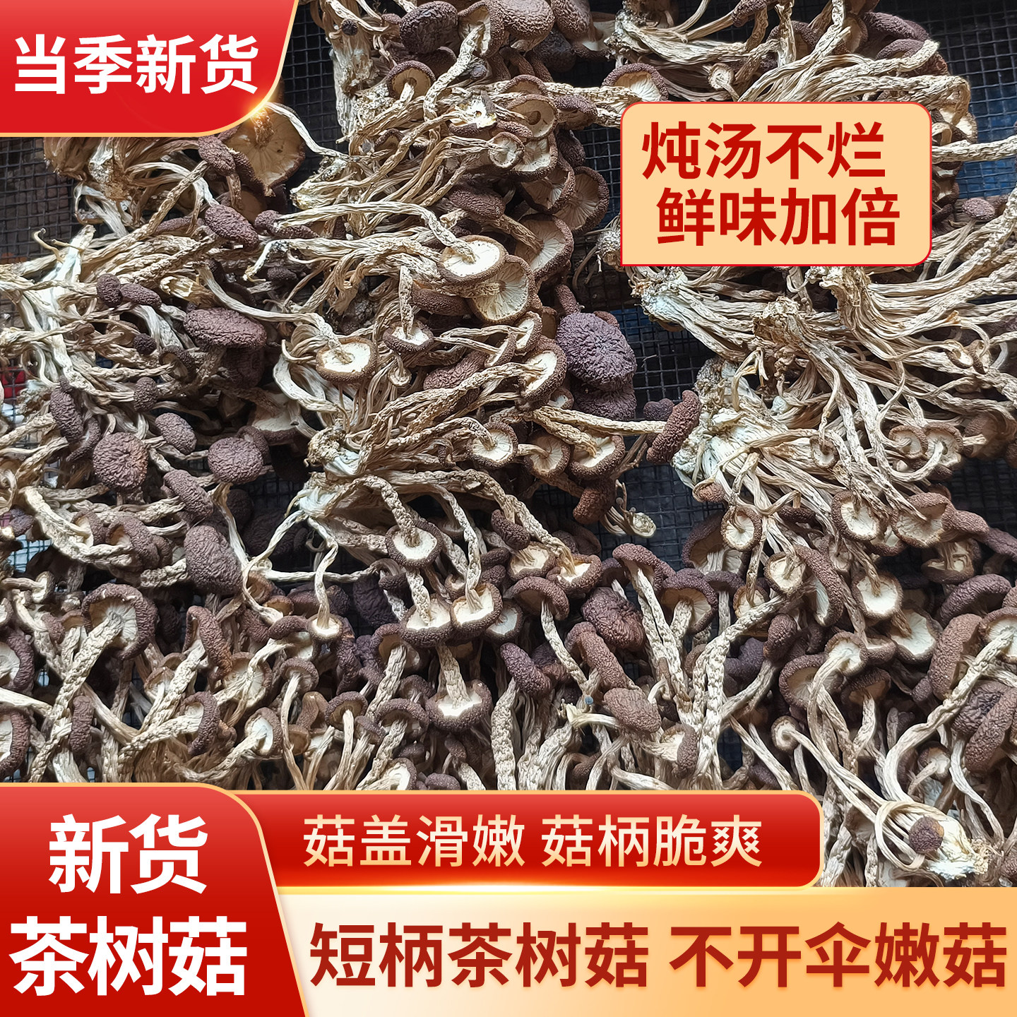 广昌茶树菇干货250g当季新货不开伞农家自产菇嫩柄脆煲汤食材包邮