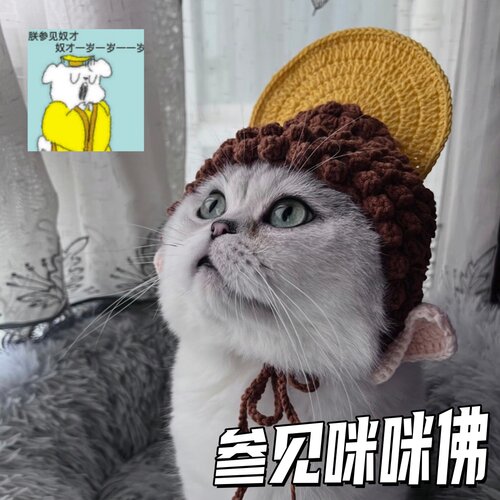 【佛光普照！】佛祖头套