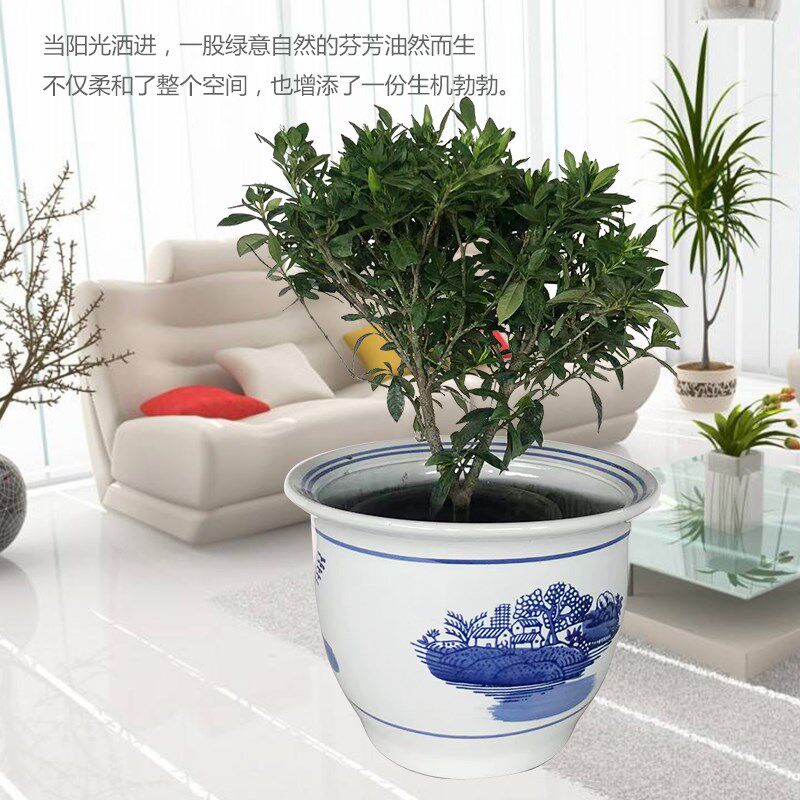 特大号青花瓷发财树幸福树龙须木散尾葵绿萝栽树植物通用陶瓷花盆
