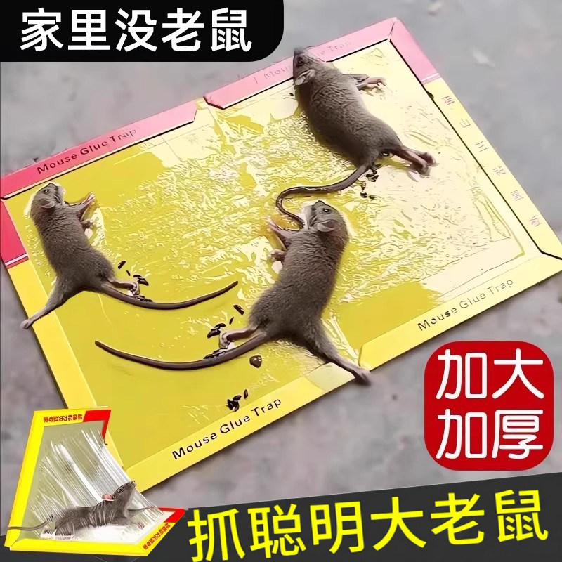 粘鼠板强力粘鼠标老鼠贴家用强力胶抓杀大老鼠老鼠板老鼠粘超强