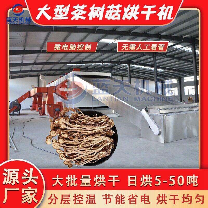 大型网带式茶树菇烘干机全自动茶薪菇脱水干燥机杨树菇烘干设备