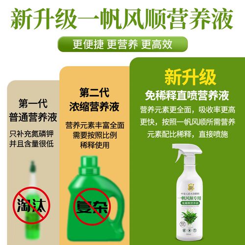 一帆风顺营养液花肥白掌水培盆栽植物营养液白鹤芋专用肥料